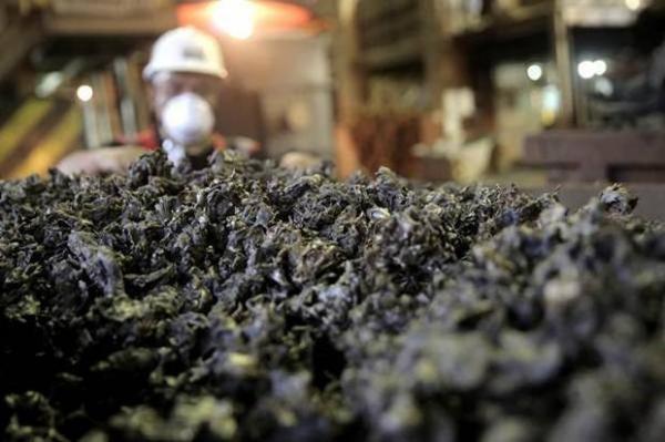 PAM Mineral (NICL) Targetkan Penjualan 2,6 Juta Ton Nikel di 2025